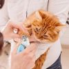 Cute Pets Nail Clippers Labor-Saving Dogs Nail Clipper Scissors  Professional Pet Nail Clippers Cat Nail Trimmer Labor-Saving Pet Claw Grooming Scisso
